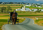 Amish Horse & Buggy thumbnail