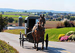 An Amish buggy rides by farms in the beautiful Amish Country thumbnail