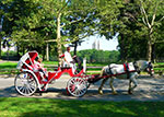 Carriage Rides through Central Park in NYC thumbnail