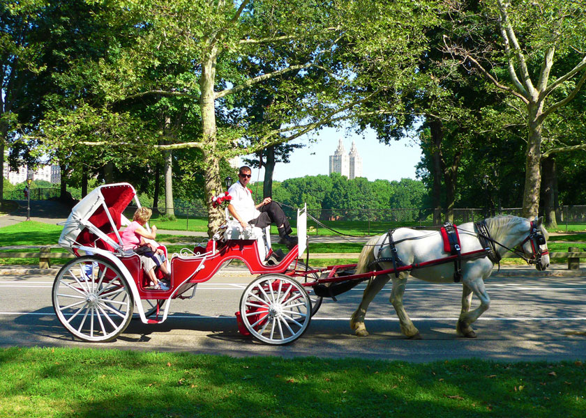 Carriage Rides through Central Park in NYC